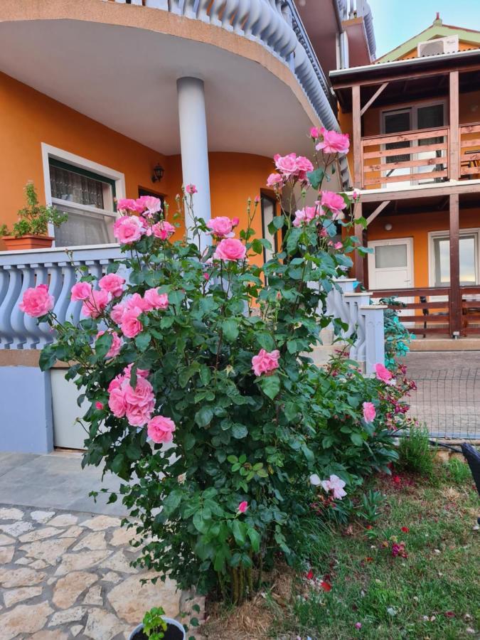 Apartman Seherzada
